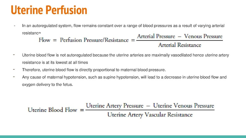 File:Obstetric Anesthesia Review for the Basic Boards 08May18.pdf