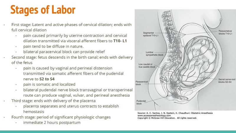 File:Obstetric Anesthesia Review for the Basic Boards 08May18.pdf