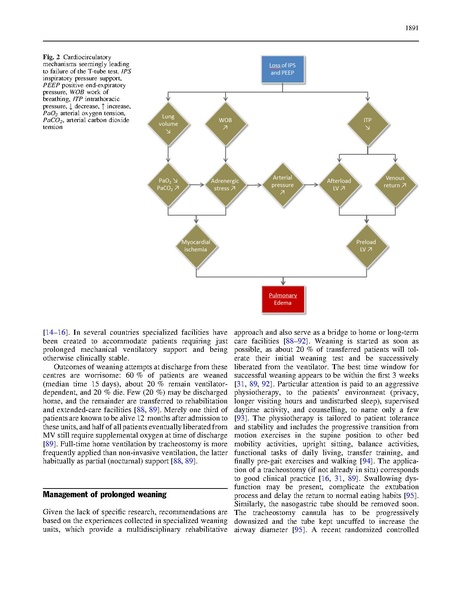 File:Perren Intensive Care Med 2013 - Managing Weaning Medical Ventilation.pdf