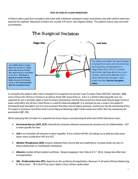 File:Post Op Pancreas Transplant.pdf