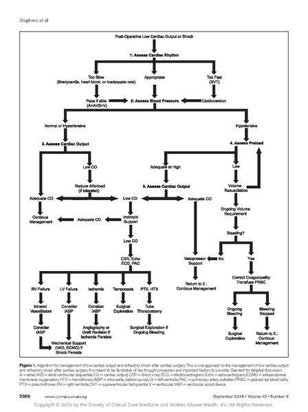 File:Post Op Part II.pdf