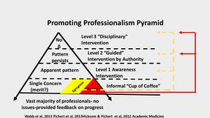 Professionalism Pyramid.jpg