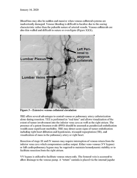 File:Renal Cell Carcinoma Management (March 26, 2020).pdf
