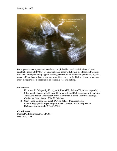 File:Renal Cell Carcinoma Management (March 26, 2020).pdf