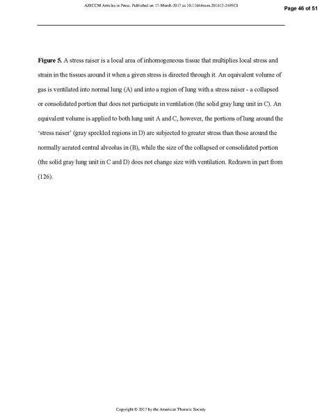 File:Respiratory Mechanics in ARDS.pdf