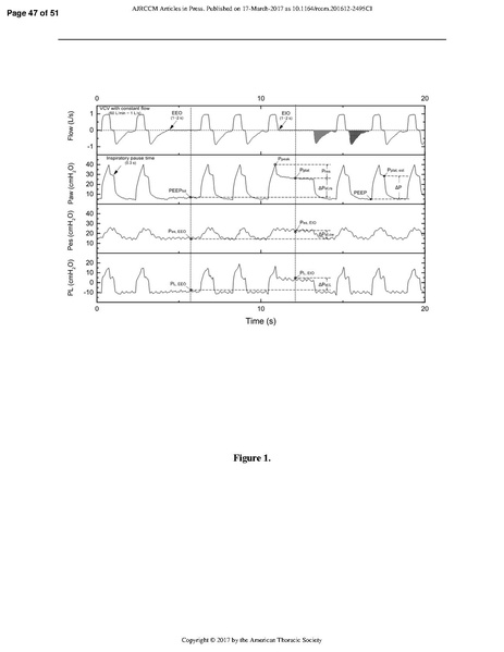 File:Respiratory Mechanics in ARDS.pdf