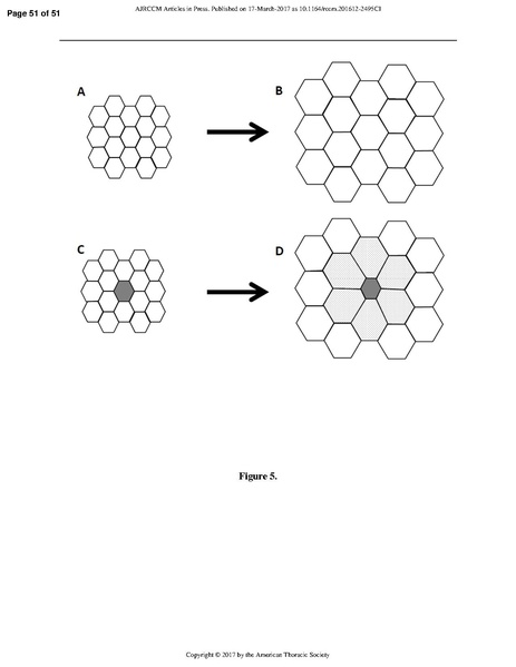 File:Respiratory Mechanics in ARDS.pdf