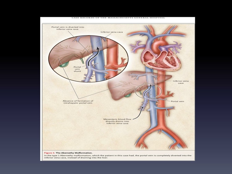 File:Respiratory Rounds 2017-03-11.pdf