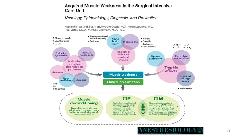 File:Respiratory Rounds 2017-03-30.pdf