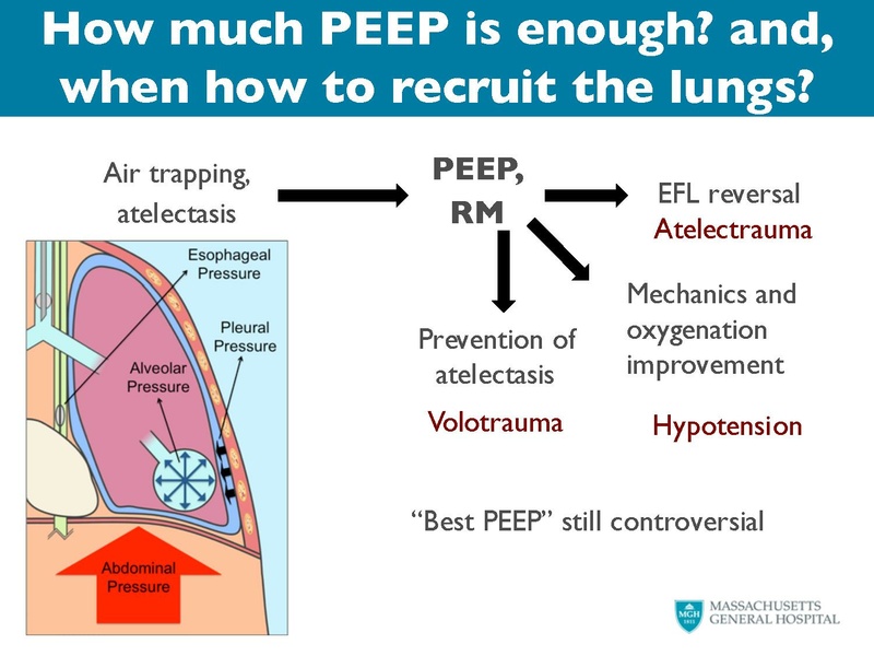 File:Respiratory Rounds 2017-04-21.pdf