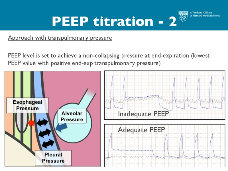 File:Respiratory Rounds 2017-04-21.pdf