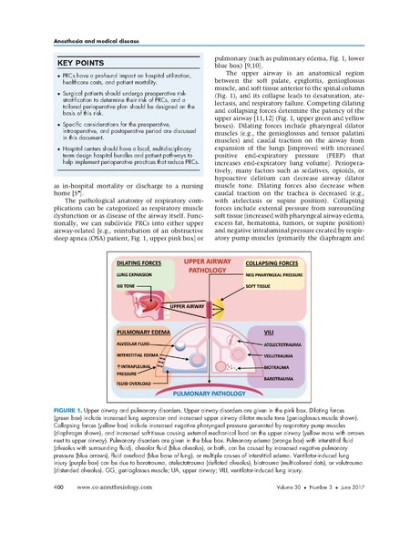 File:Ruscic 2017 Curr Opin Anes - Respiratory Complications.pdf