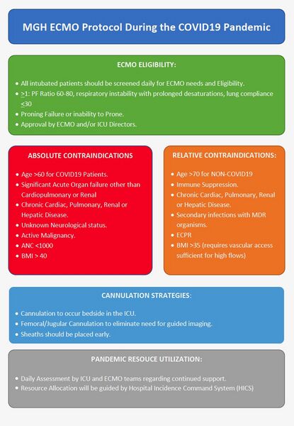 File:Screen Shot 2020-04-19 at 4.42.27 PM.jpeg