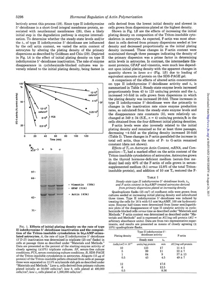 File:Siegrist-Kaiser J Biological Chemistry 1990 - Thyroxine-dependent Modulation.pdf