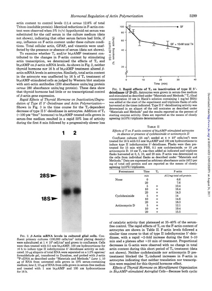 File:Siegrist-Kaiser J Biological Chemistry 1990 - Thyroxine-dependent Modulation.pdf