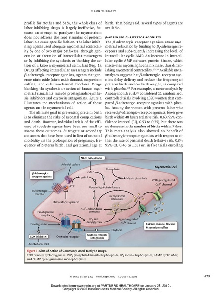 File:Simhan NEJM 2007.pdf