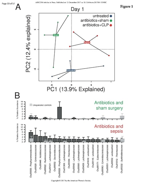 File:Singer ATS 2017 - Bacteria enter brain during sepsis.pdf
