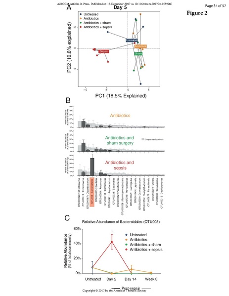 File:Singer ATS 2017 - Bacteria enter brain during sepsis.pdf