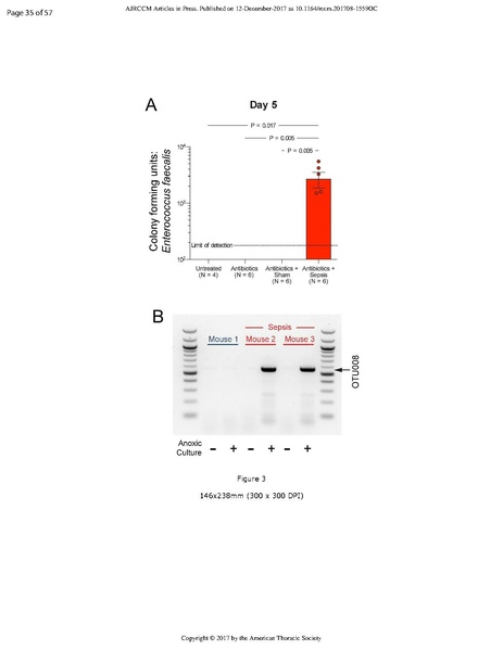 File:Singer ATS 2017 - Bacteria enter brain during sepsis.pdf
