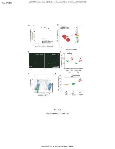 File:Singer ATS 2017 - Bacteria enter brain during sepsis.pdf