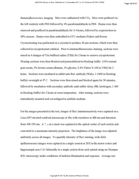File:Singer ATS 2017 - Bacteria enter brain during sepsis.pdf