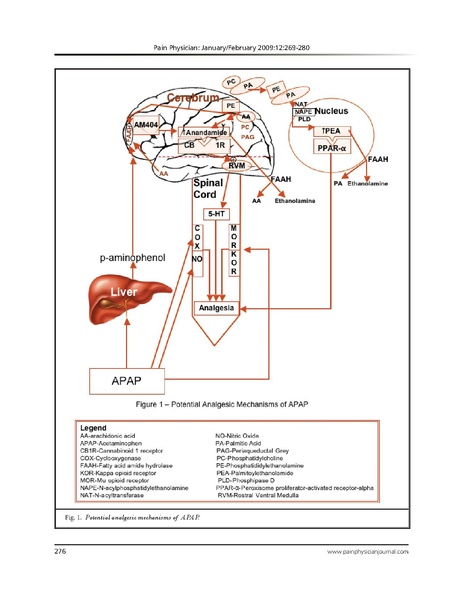 File:Smith 2009 Mechanisms of Acetaminophen.pdf