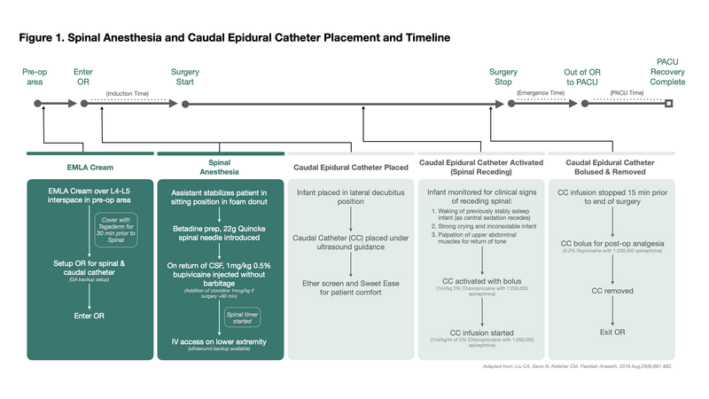 File:Spinal - Caudal Anesthesia.png