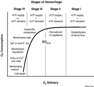 Stages of Hemorrhage.png