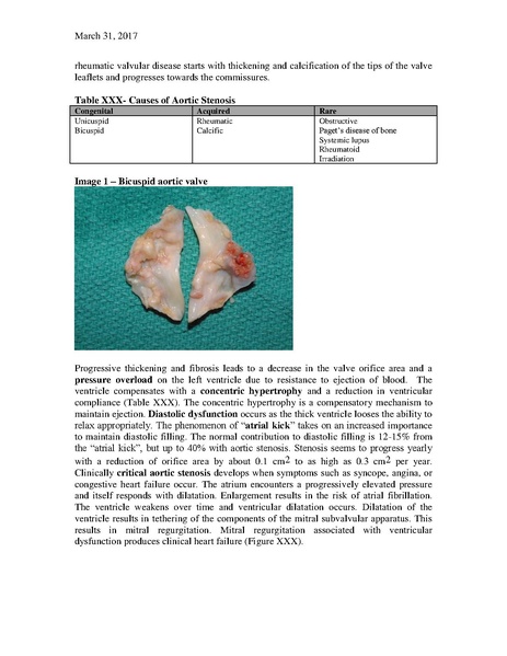 File:Stenotic Lesions (March 31, 2017).pdf