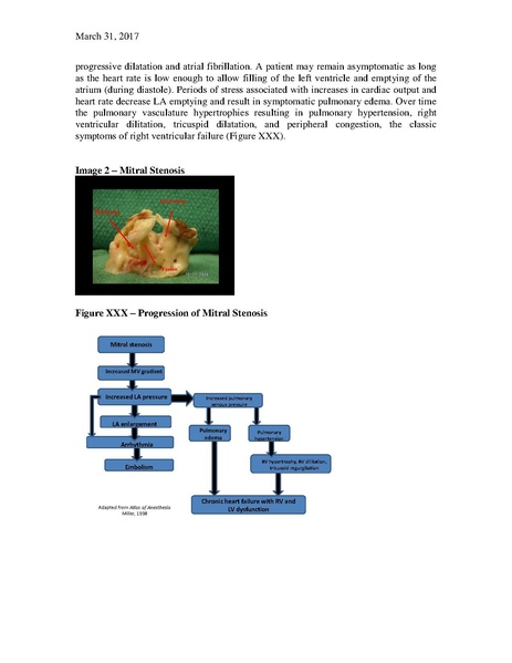File:Stenotic Lesions (March 31, 2017).pdf