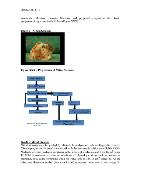 File:Stenotic Lesions (October 17, 2016).pdf
