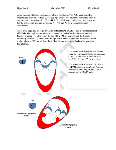 File:TEE Assessment of Mitral Regurgitation and Stenosis (March 26, 2020).pdf