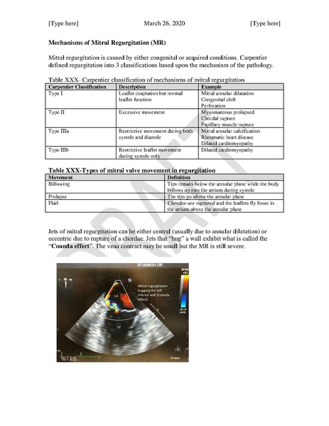 File:TEE Assessment of Mitral Regurgitation and Stenosis (March 26, 2020).pdf
