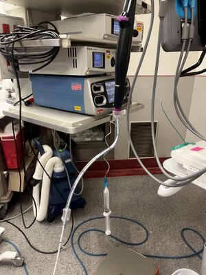 Thumbnail IMG 4269.jpg