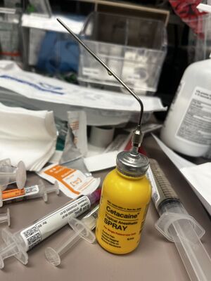 Thumbnail IMG 4271.jpg