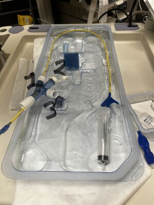 Thumbnail IMG 4952.jpg