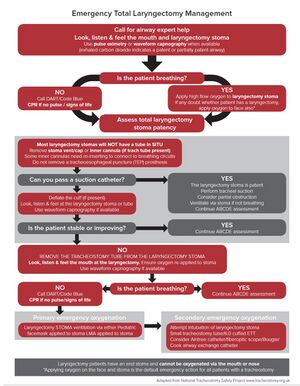 Total laryngectomy algorithm.jpg