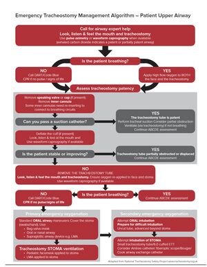 Tracheostomy Algorithm.jpg