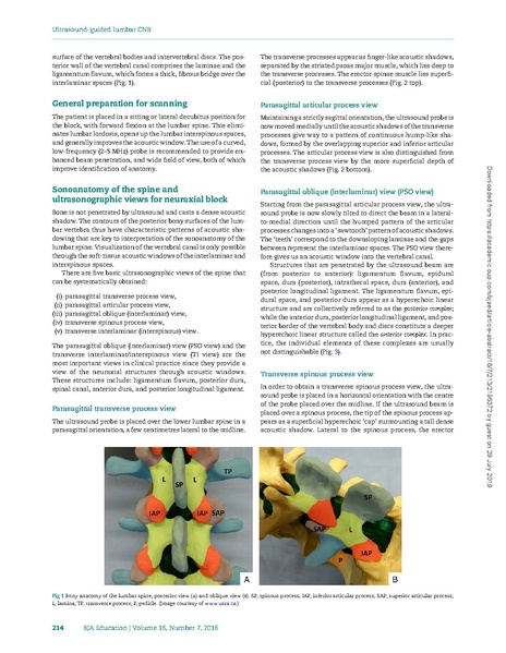 File:Ultrasound-guided lumbar central neuraxial block.pdf