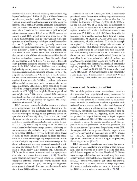 File:Unique Characteristics of DRG as Target for Stimulation.pdf