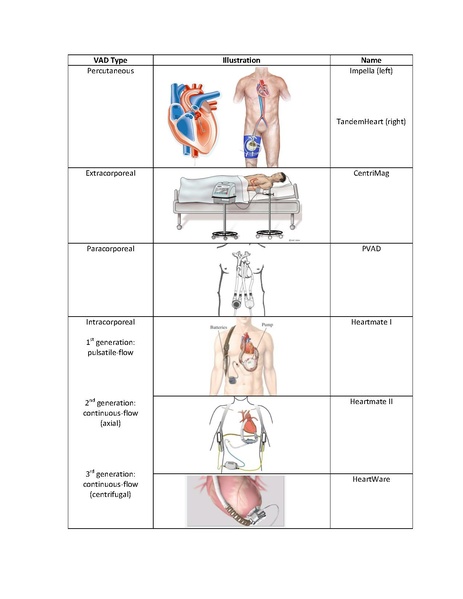 File:VAD Manual (Mabel Chung April 5, 2017).pdf
