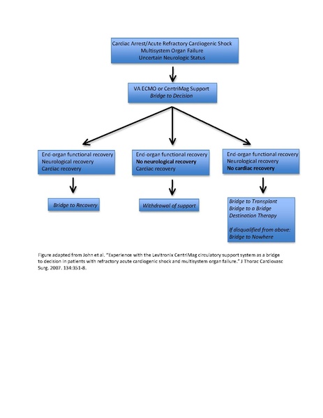 File:VAD Manual (Mabel Chung April 5, 2017).pdf