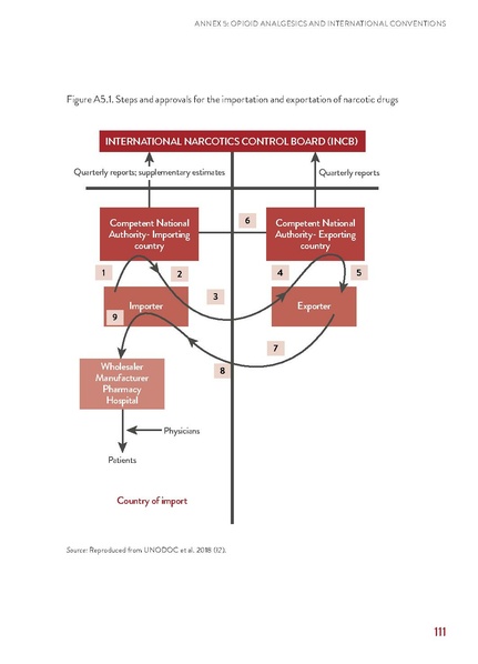 File:WHO Guidelines for Cancer Pain.pdf