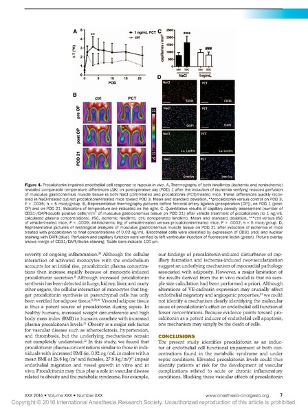 File:Wagner Anesthesia-Analgesia 2016 - Procalcitonin Impairs Endothelial Cell.pdf
