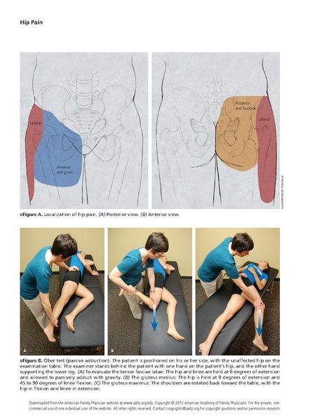 File:Wilson - Evaluation of the Patient with Hip Pain.pdf