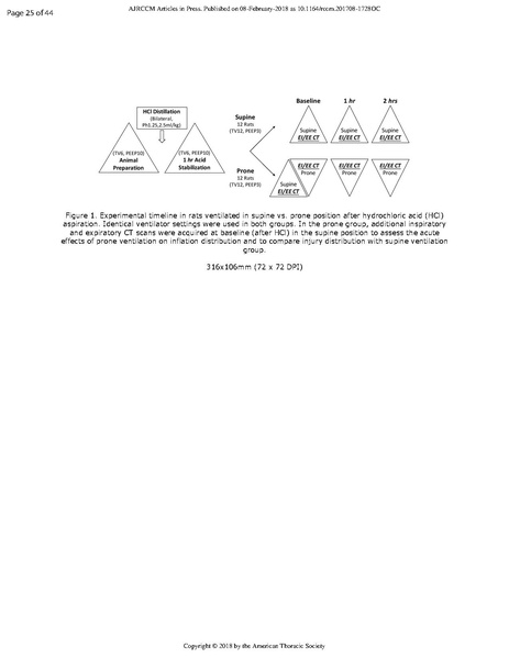 File:Xin AJRCCM 2018 - Prone positioning limits lung injury.pdf