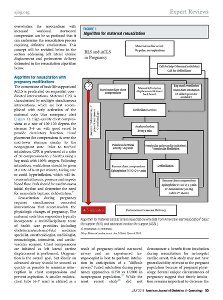 File:Zelop 2018 AJOG Cardiac arrest during pregnancy expert review.pdf